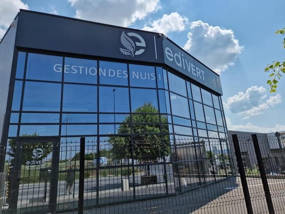 Enseigne lettres decoupees vertes