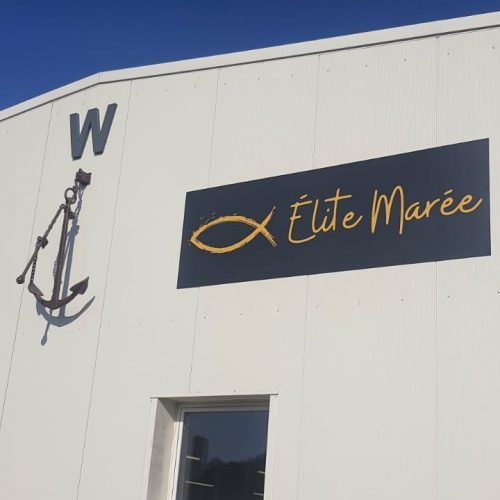 microperforé vitrine panneau alu