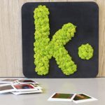Plaque logo K en lichen stabilisé – Panneau de signalisation : usages, normes et bonnes pratiques