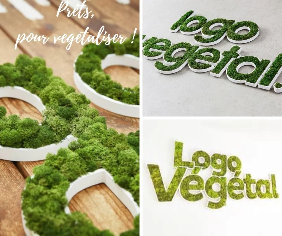 Montage de plusieurs logos en mousse et lichen stabilisés