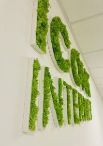 Enseigne lettres PVC végétales avec lichen