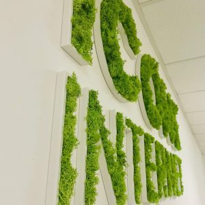 Enseigne lettres PVC végétales avec lichen