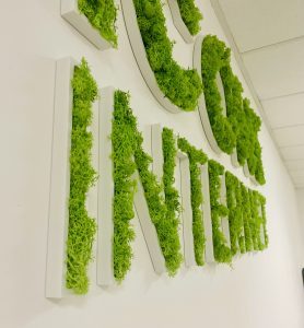 Enseigne lettres PVC végétales avec lichen