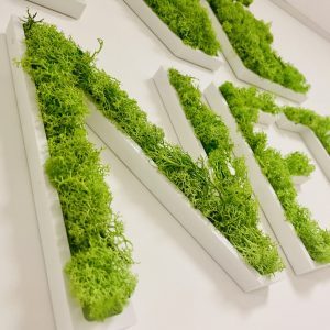 Enseigne lettres PVC végétales avec lichen